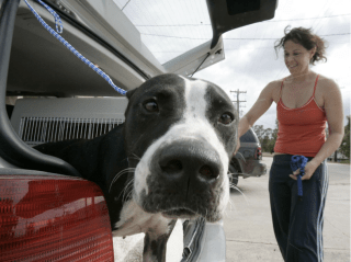 Screen Shot 2017-03-30 at 9.16.41 PM